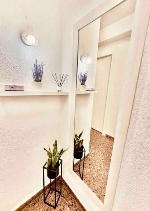 Citadella Apartment Sagunto エクステリア 写真