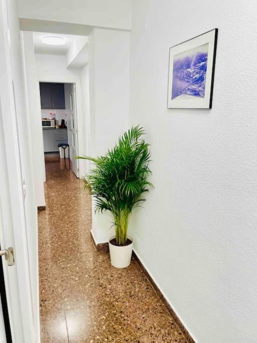 Citadella Apartment Sagunto エクステリア 写真